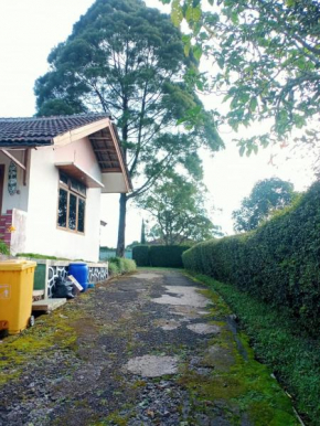 Villa orchid